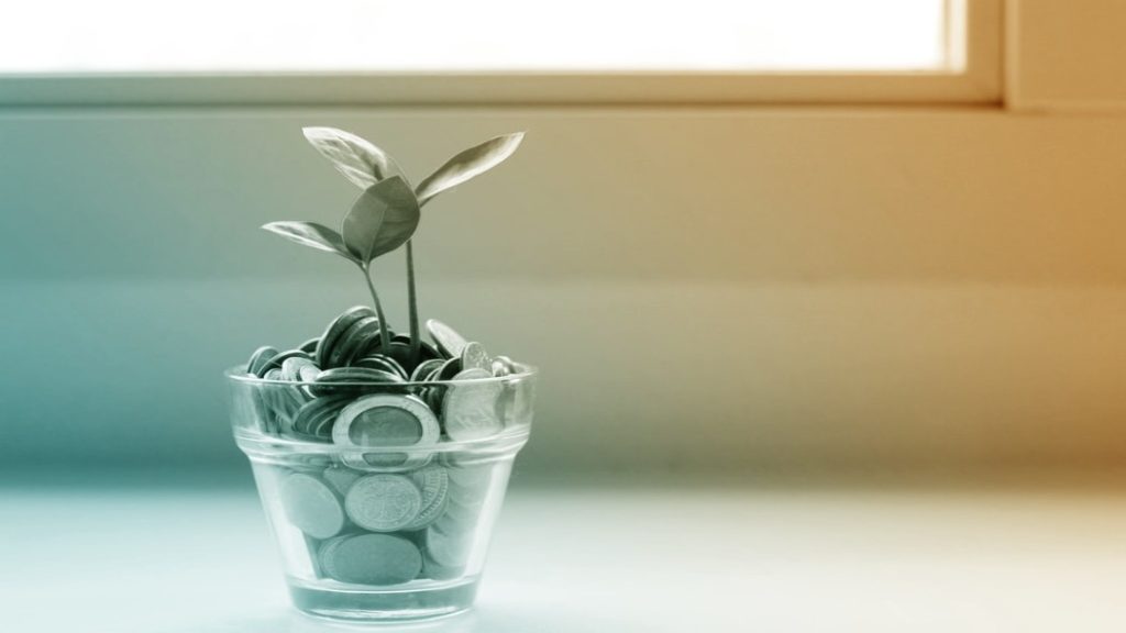 Petite plante poussant dans un verre rempli de pièces de monnaie