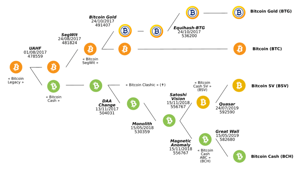 Structure des différents forks issus de Bitcoin