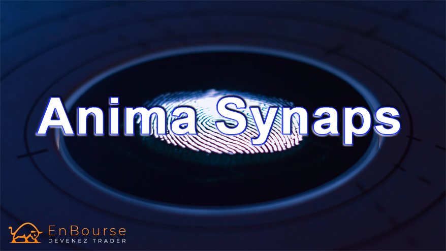 Anima Synaps KYC